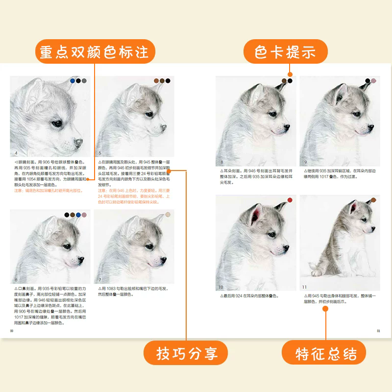 Lovely Cats and Dogs Color Pen - Chinese Art Craft recension och pris