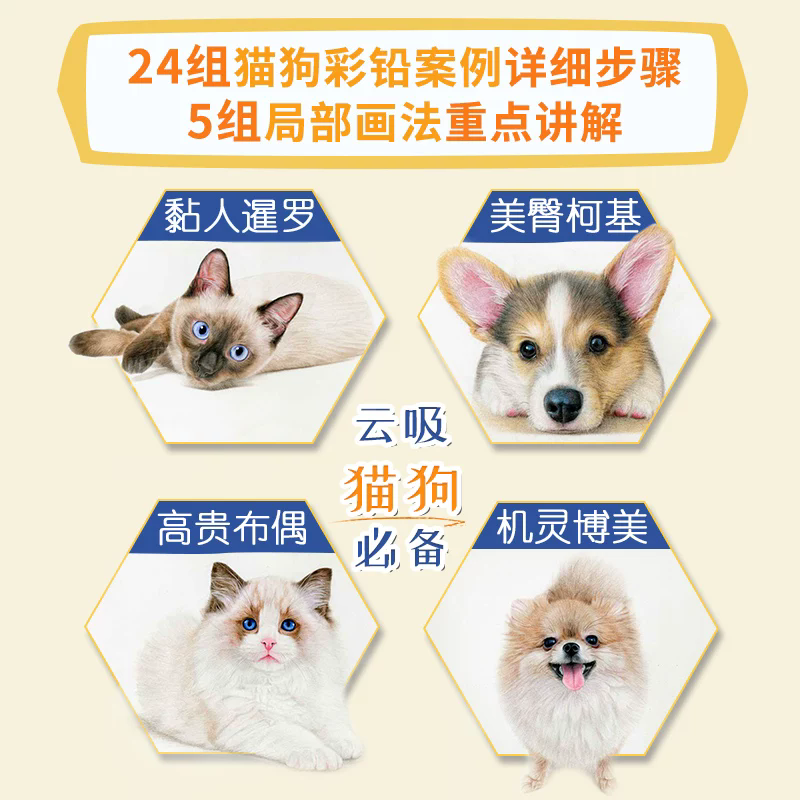 Lovely Cats and Dogs Color Pen - Chinese Art Craft recension och pris